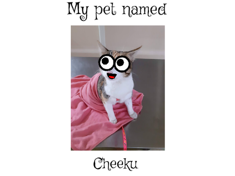 My pet!