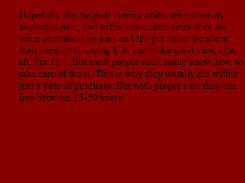 Proper Hermit Crab Care