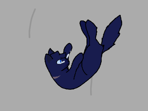 Bluestar's Death