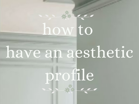 -`, how to have a aesthetic profile:꒱ 