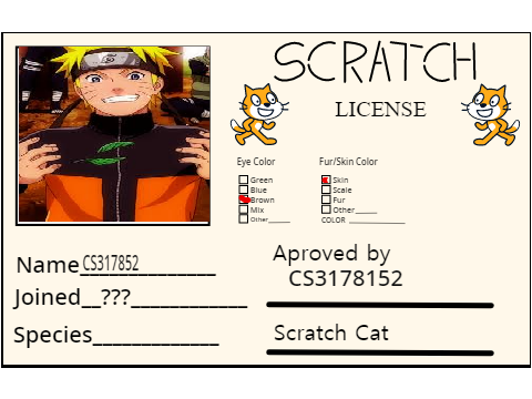 Make Your Own Scratch License remix
