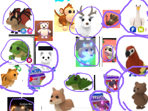 ADOPT ME PETS||remix and circle ur favorite pets