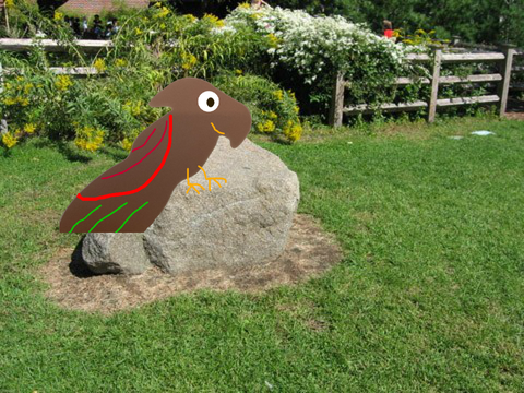 Shadow Parrot - Playing with Random