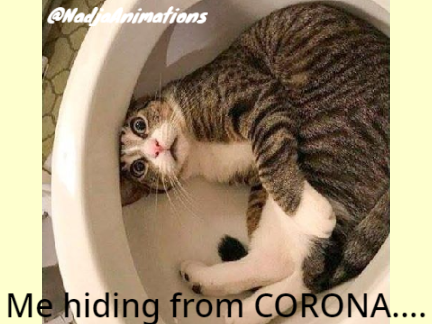MEME CONTEST remix