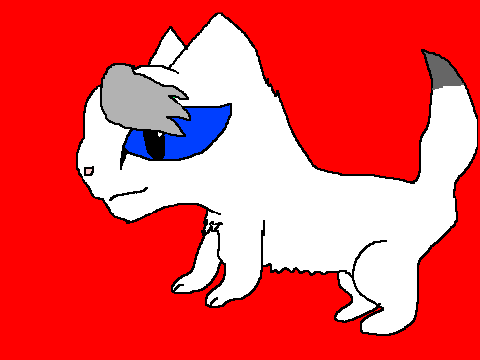 Starpawsbio (New!) EDITED