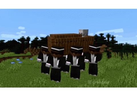 Minecraft Coffin Dance Meme Template