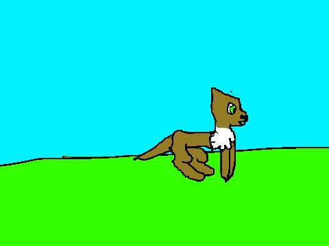 running cat