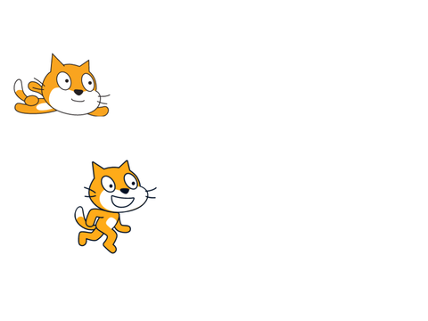 Cat Race