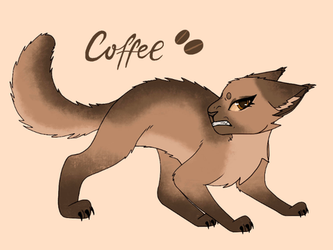 Digital art practice | Coffee