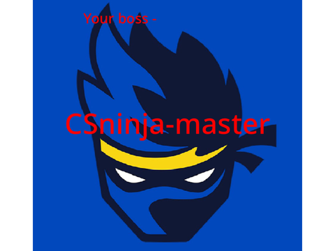 CSninja-master