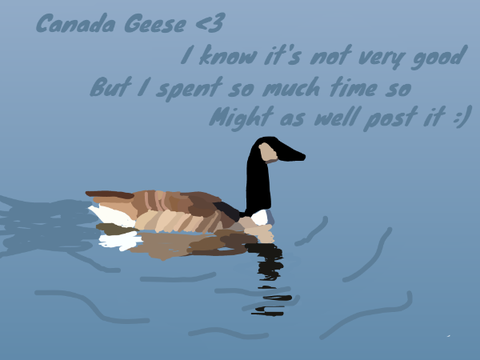 Canada Goose Blockshade