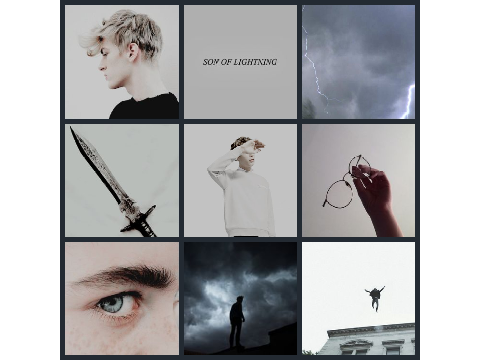 Heroes of Olympus character boards. 