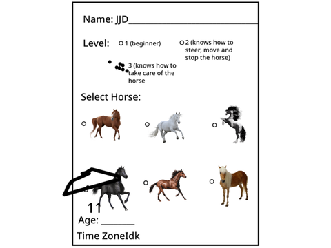 Remote horse riding lesson Form remix
