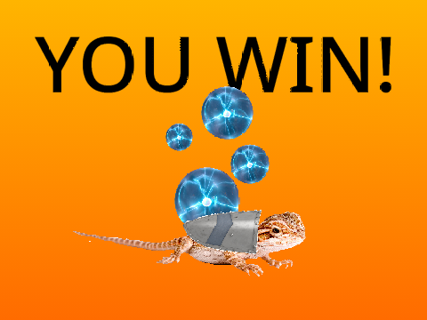 Flying lizard fight
