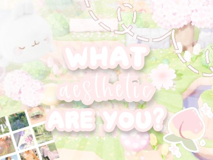 ₊⊹ ᮫࣭ ᮫࣭❀‧┊what aesthetic are you?