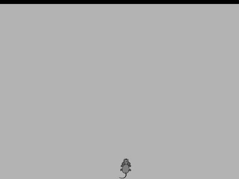 Super Mouse Run