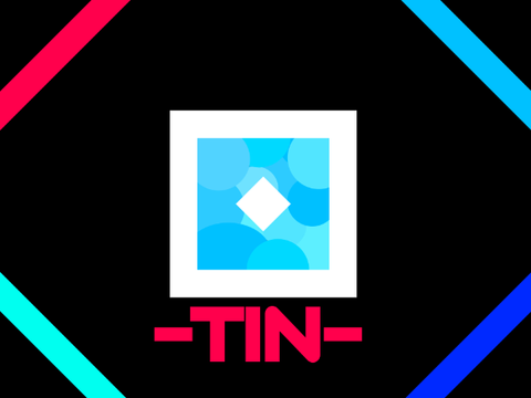 -TIN- Intro Entry