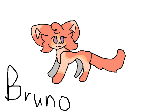 DTAE Bruno