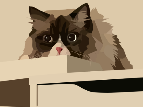 Cat Blockshade <3