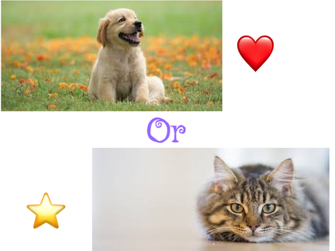 Vote: Cat or Dog?