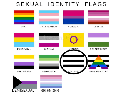 Remix and Circle your Sexual Identity remix remix
