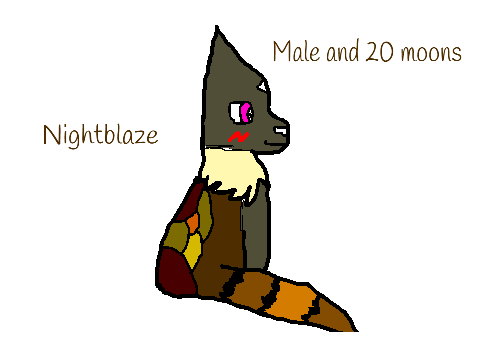 My OC Nightblaze