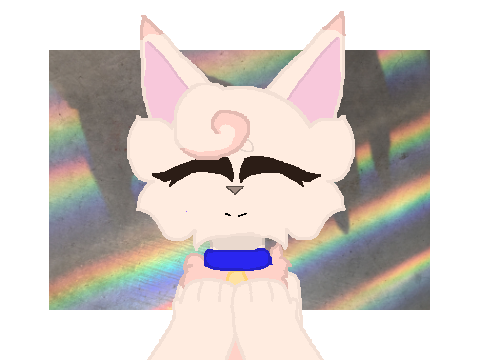 ○ ｍｏｅｓｔｅｐ○