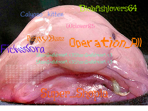 Sign here if your against blobfish hunting remix remix remix remix remix remix remix remix