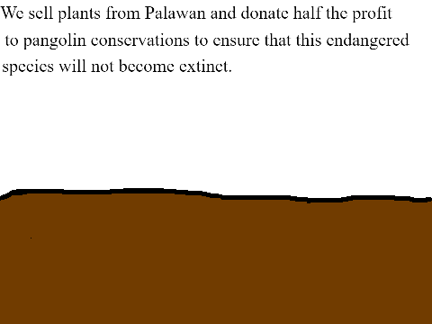 Plant for Pangolins