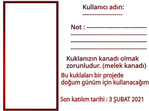 Doğum Günü Animasyonu Başvuru Formu