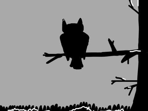 Owl Animation Test