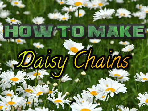 How to make: Daisy Chains!