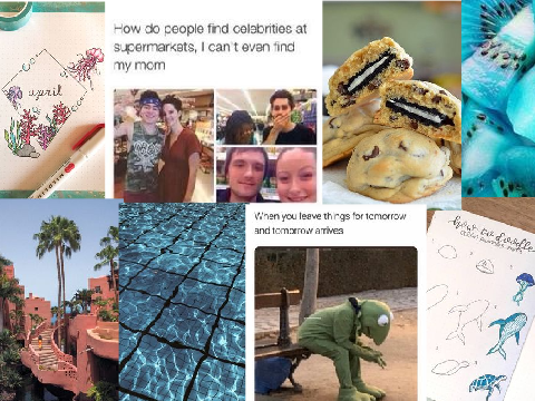 my ✨ aesthetic ✨