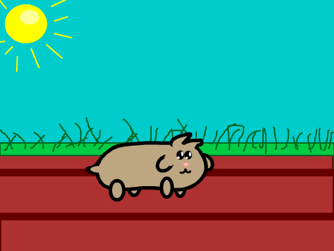 Guinea Pig~~ My entry