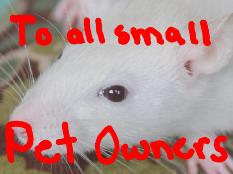 TO ALL SMALL PET OWNERS