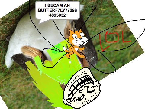 darn (seizure warning