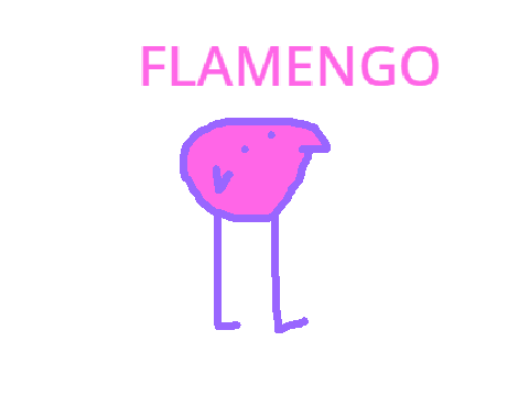 FLAMENGO B E R D