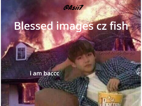 Blessed images cz fish