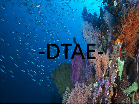 | DTAE 55+ Special |