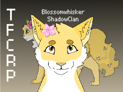 Blossomwhisker | TFCRP