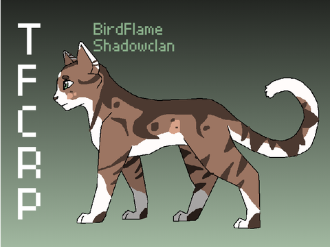 Birdflame