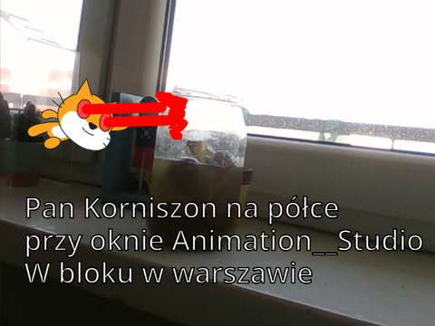 Pan Korniszon (Wielkie z niego ciacho)