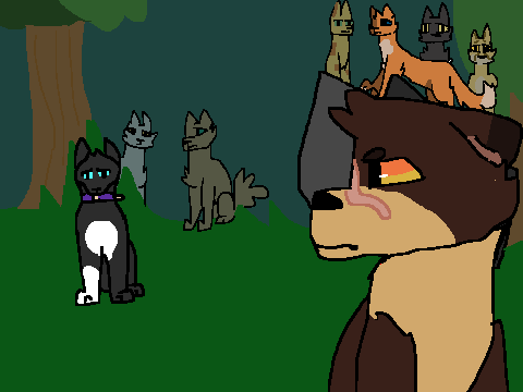13 || brand new day - scourge map|| RUINED ;-;