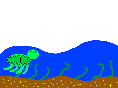 turtle