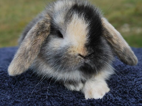 baby stormie? :0