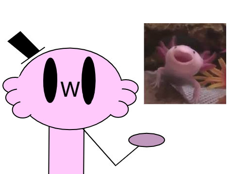New OC plans