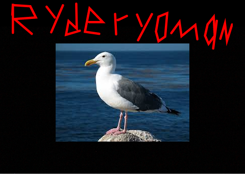 Intro to Ryderyouman