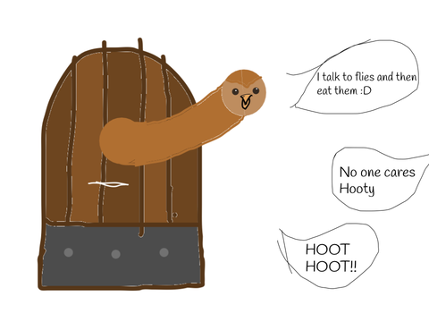 Basically Hootys entire life.