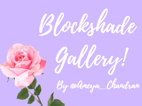 Blockshade Gallery! By @Ameya_Chandran