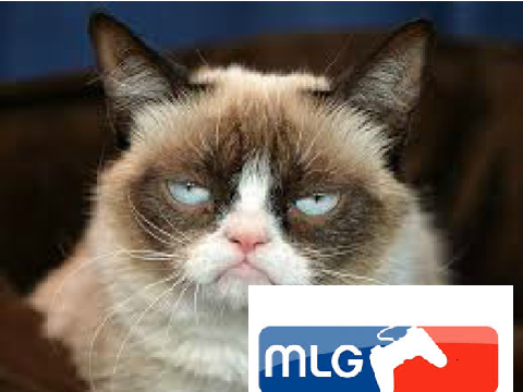 mlg grumpy c@t